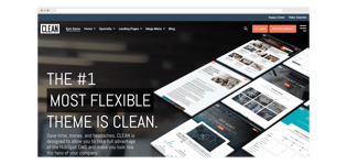 Clean-Pro-Website-min