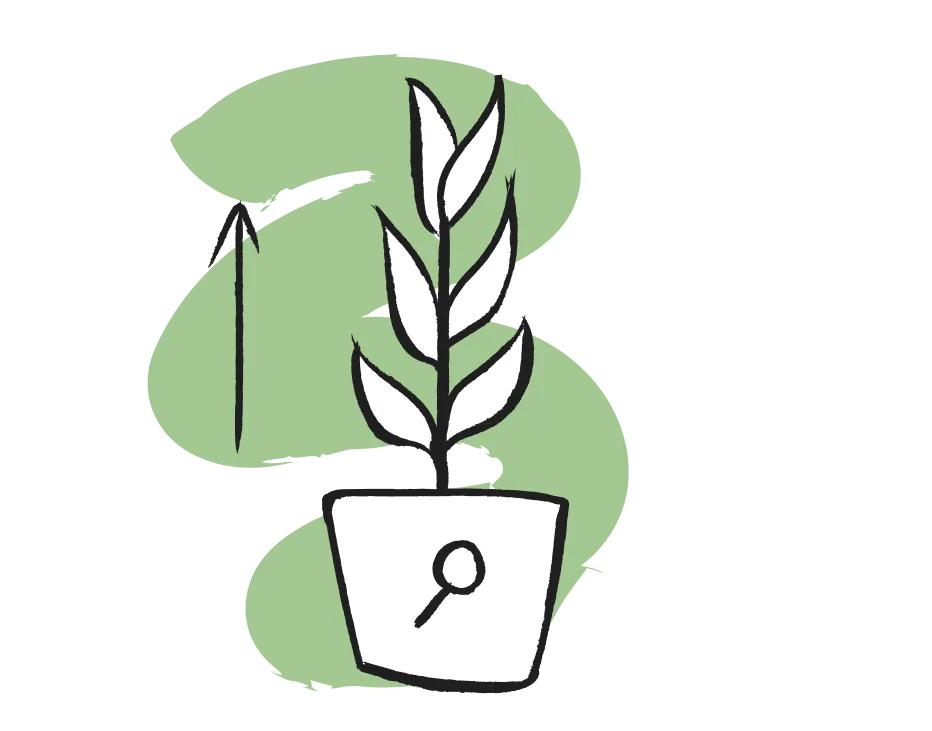 SEO Growth Icon 3 Grün